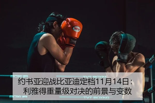 yue-shu-ya-ying-zhan-bi-ya-di-ding-dang-yue-ri-li-ya-de-zhong-liang-ji-dui-jue-de-qian-jing-yu-bian-shu-3-837.jpg